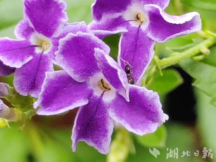 宝运莱网址